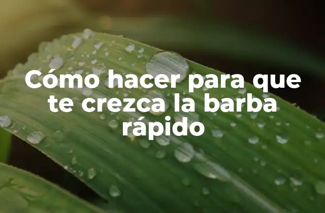 Cómo Hacer para que Te Crezca la Barba Rápido