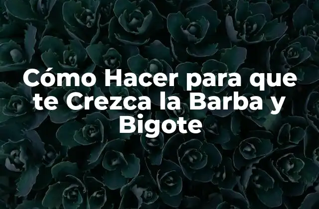 Cómo Hacer para que te Crezca la Barba y Bigote