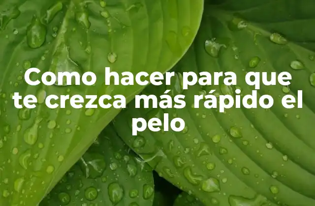 Crecimiento del cabello rápido