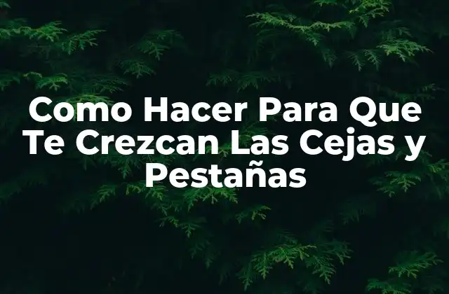 Como Hacer para que Te Crezcan las Cejas y Pestañas