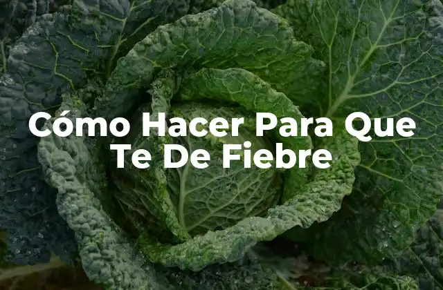 Cómo Hacer para que Te de Fiebre
