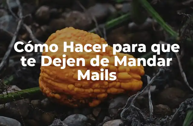 Cómo Hacer para que Te Dejen de Mandar Mails 2 Cómo Hacer para que te Dejen de Mandar Mails