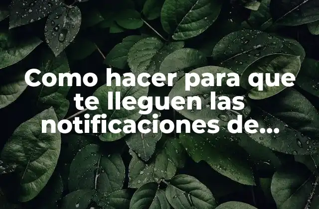 Como Hacer para que Te Lleguen las Notificaciones de Instagram