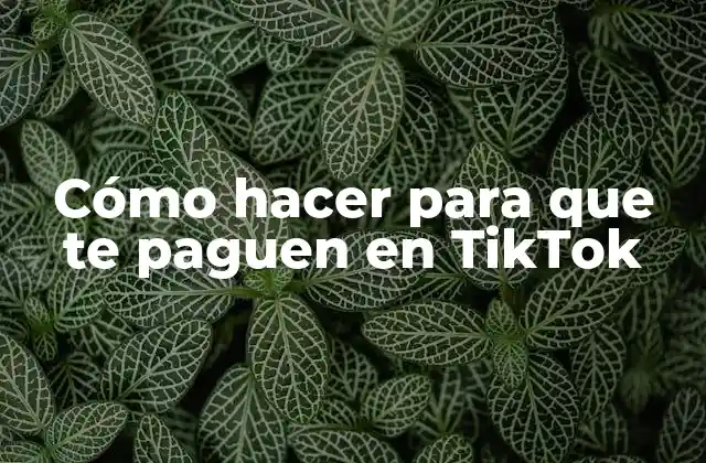 Cómo Hacer para que Te Paguen en Tiktok