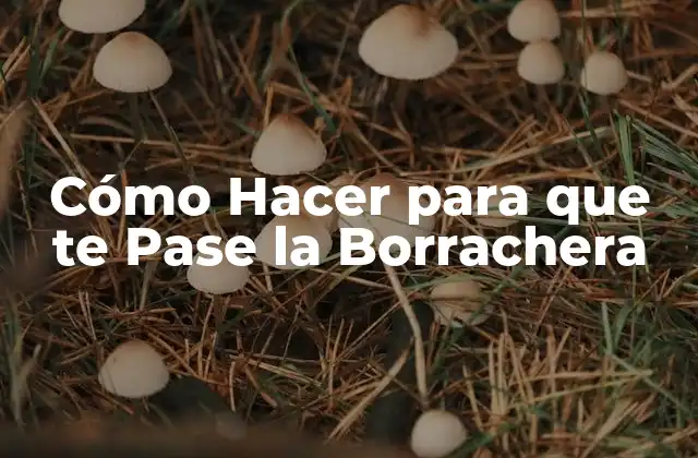 Cómo Hacer para que Te Pase la Borrachera