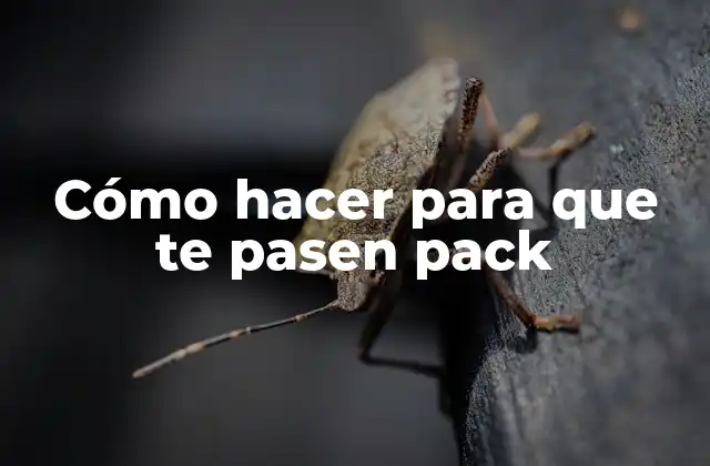 Cómo Hacer para que Te Pasen Pack