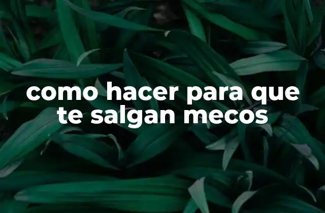 ¿Qué son los mecos?