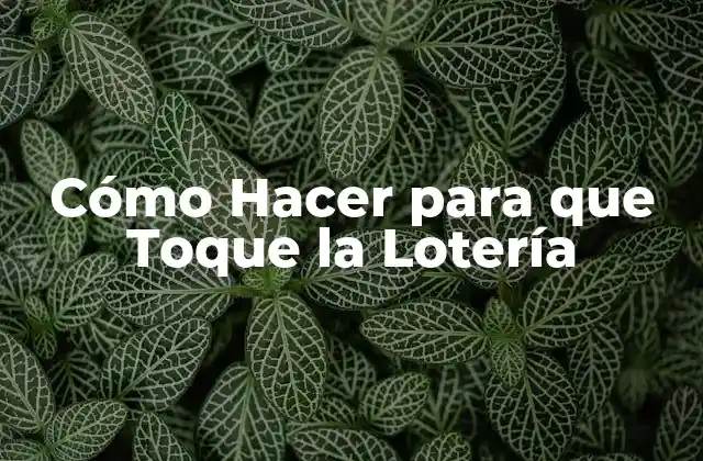 Cómo Hacer para que Toque la Lotería