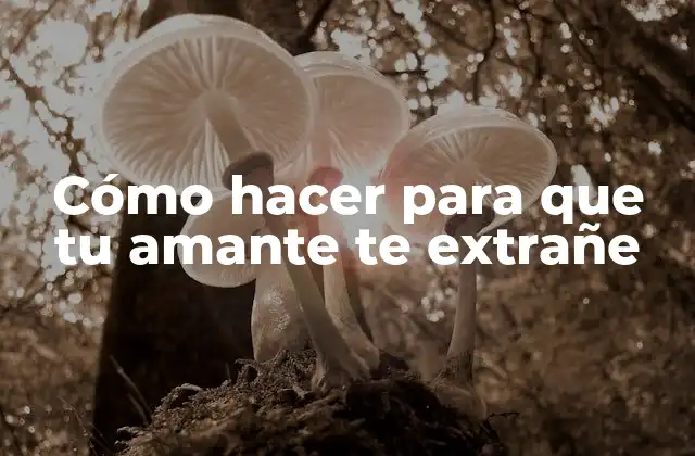 Cómo Hacer para que Tu Amante Te Extrañe