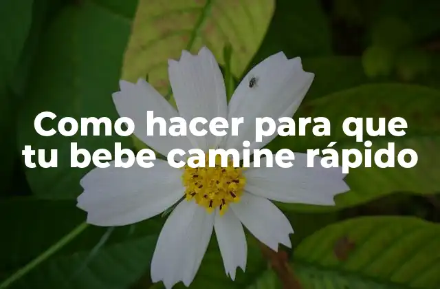 Como Hacer para que Tu Bebe Camine Rápido