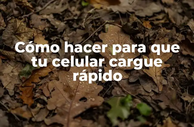 Cómo Hacer para que Tu Celular Cargue Rápido