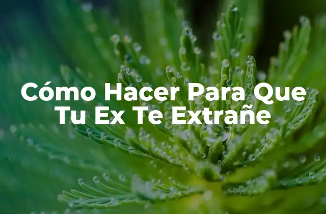 Cómo Hacer para que Tu Ex Te Extrañe