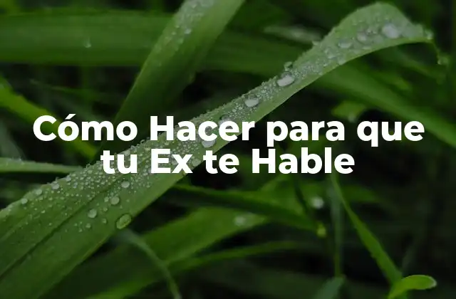 Cómo Hacer para que Tu Ex Te Hable
