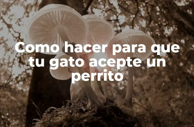 Como Hacer para que Tu Gato Acepte un Perrito