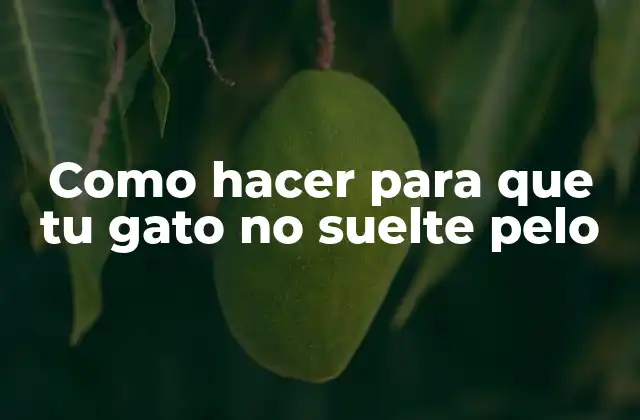 Como Hacer para que Tu Gato No Suelte Pelo