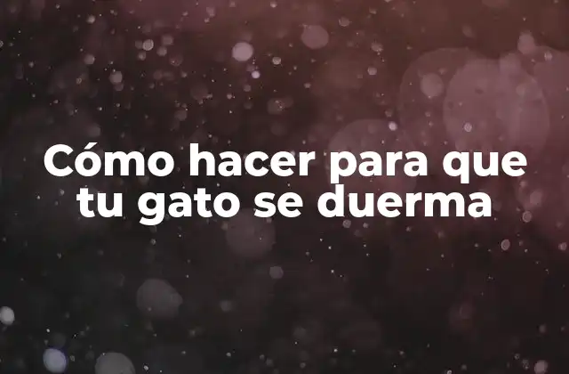 Cómo Hacer para que Tu Gato Se Duerma