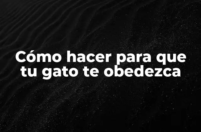 Cómo Hacer para que Tu Gato Te Obedezca
