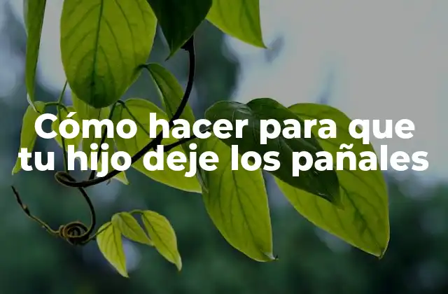 ¿Qué es dejar los pañales y por qué es importante?