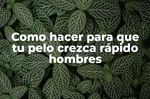 Crecimiento del pelo en hombres