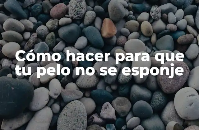 Cómo Hacer para que Tu Pelo No Se Esponje