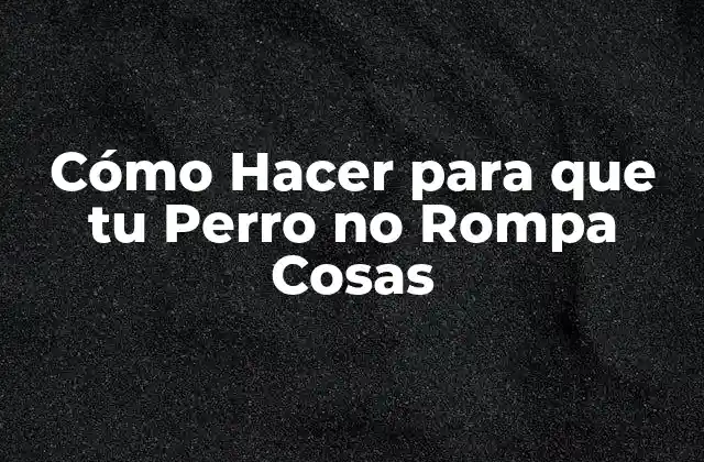 Cómo Hacer para que Tu Perro No Rompa Cosas
