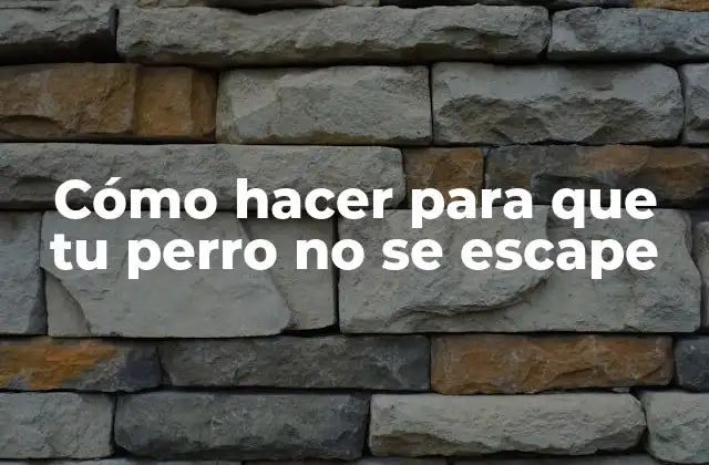 Cómo Hacer para que Tu Perro No Se Escape