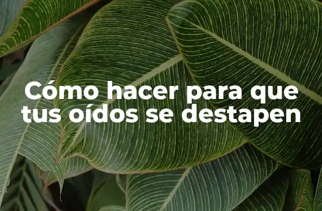 Cómo Hacer para que Tus Oídos Se Destapen