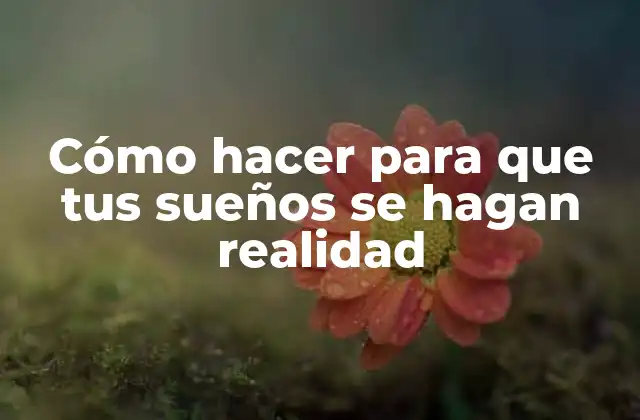 Cómo Hacer para que Tus Sueños Se Hagan Realidad
