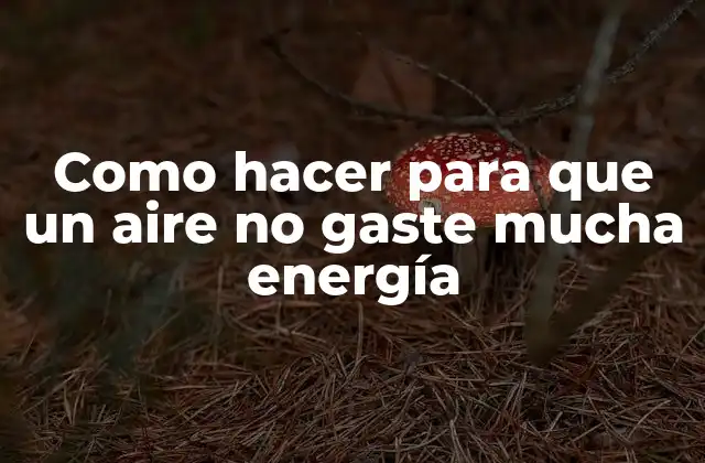 Como Hacer para que un Aire No Gaste Mucha Energía