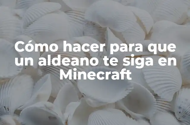 Cómo Hacer para que un Aldeano Te Siga en Minecraft