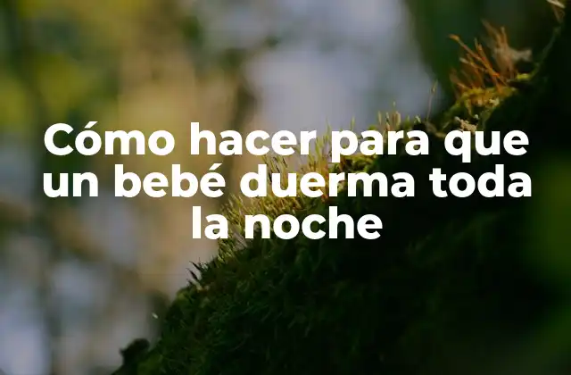 Cómo Hacer para que un Bebé Duerma Toda la Noche