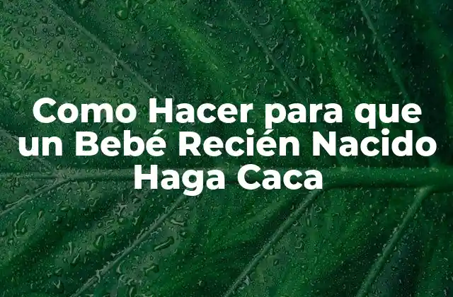 Como Hacer para que un Bebé Recién Nacido Haga Caca