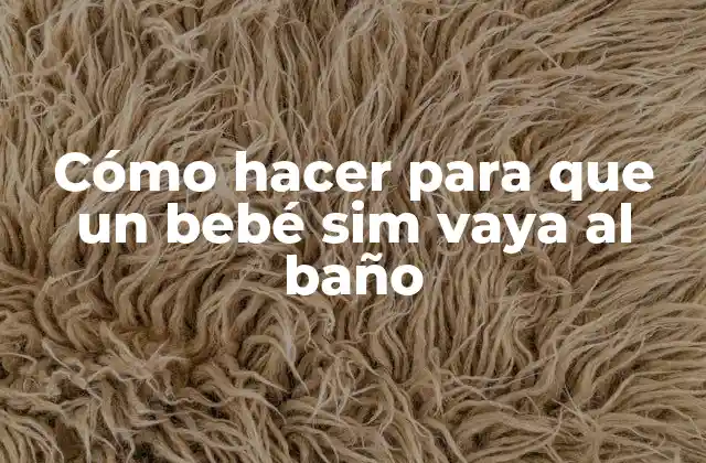Cómo Hacer para que un Bebé Sim Vaya Al Baño