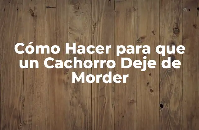 Cómo Hacer para que un Cachorro Deje de Morder