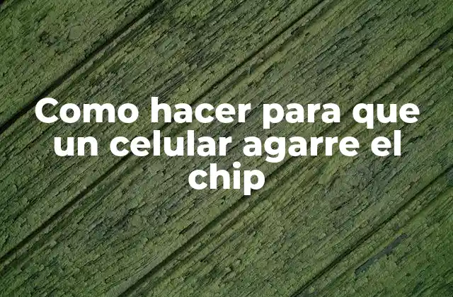 Como Hacer para que un Celular Agarre el Chip