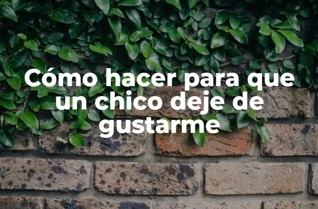Cómo Hacer para que un Chico Deje de Gustarme