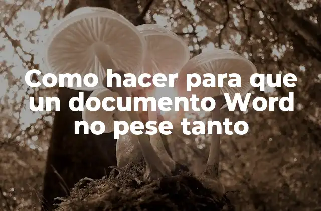 Como Hacer para que un Documento Word No Pese Tanto