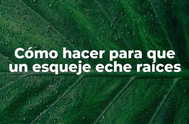 Cómo Hacer para que un Esqueje Eche Raíces