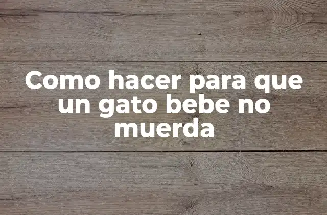 Como Hacer para que un Gato Bebe No Muerda