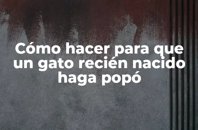 Cómo Hacer para que un Gato Recién Nacido Haga Popó