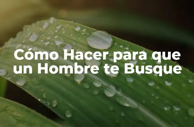 Cómo Hacer para que un Hombre Te Busque