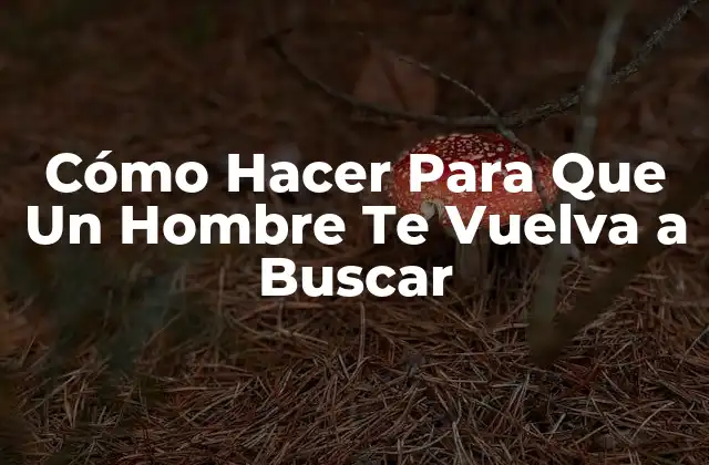 Cómo Hacer para que un Hombre Te Vuelva a Buscar