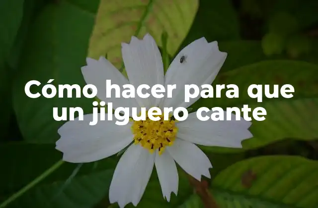 Cómo Hacer para que un Jilguero Cante