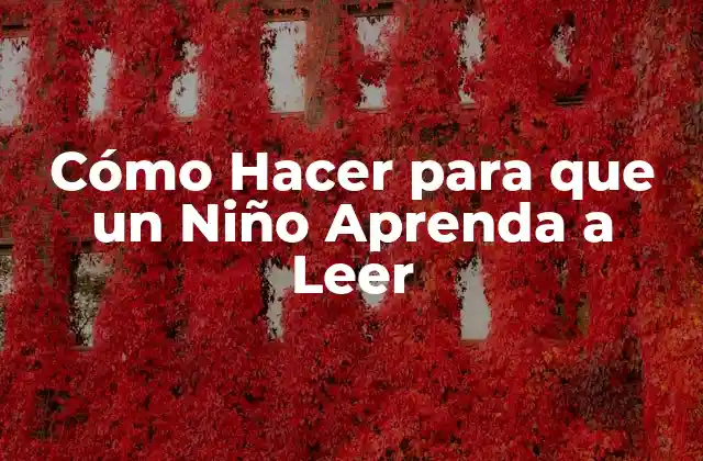 Cómo Hacer para que un Niño Aprenda a Leer