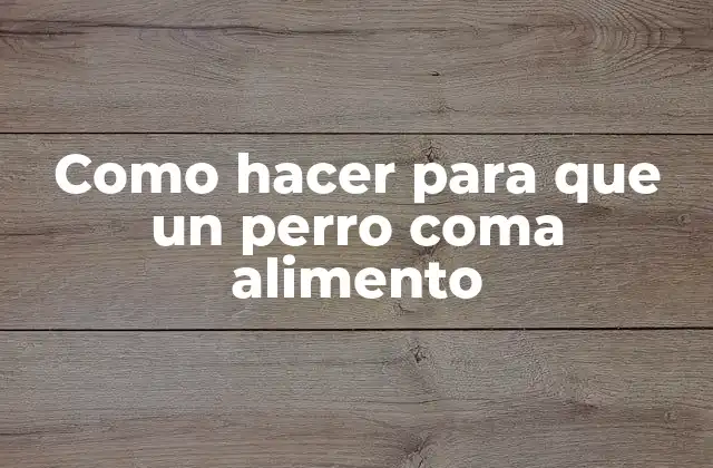 Alimento para perros