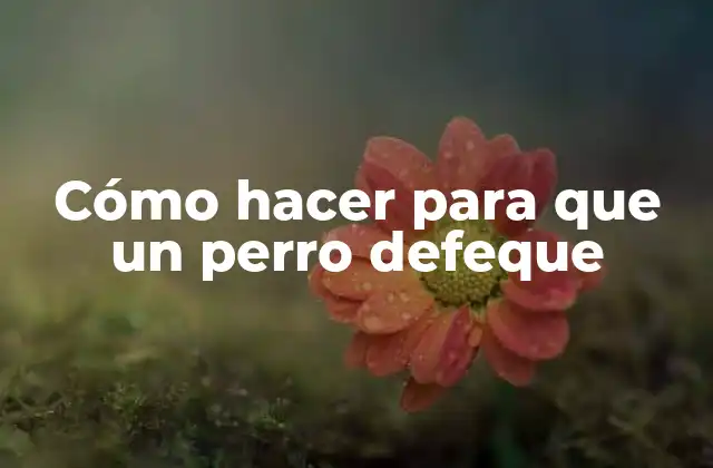 Cómo Hacer para que un Perro Defeque