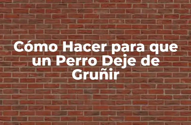Cómo Hacer para que un Perro Deje de Gruñir 2 ¿Qué es el Gruñido en los Perros?