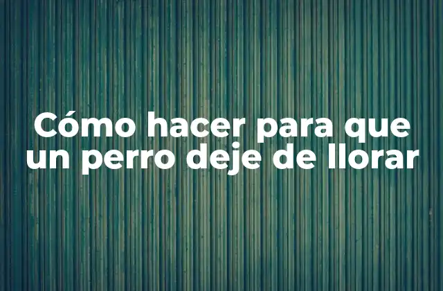 Cómo Hacer para que un Perro Deje de Llorar 2 Cómo hacer para que un perro deje de llorar