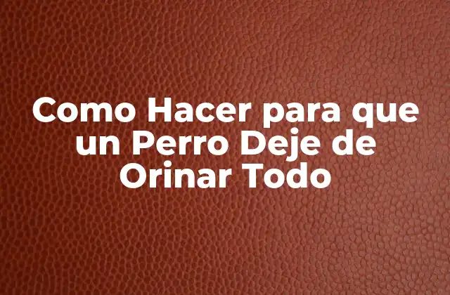 Como Hacer para que un Perro Deje de Orinar Todo