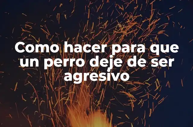 Como Hacer para que un Perro Deje de Ser Agresivo